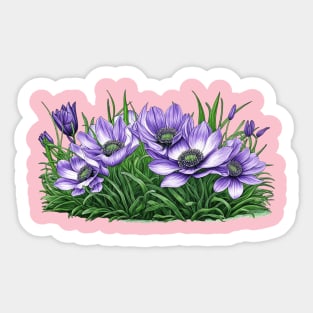 Anemone Flowers Sticker